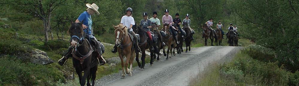 Ulvangsvegen veglag